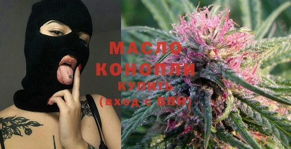 индика Алапаевск