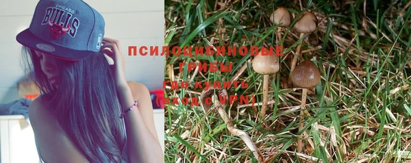 прущие крисы Навашино