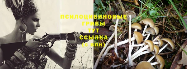 apvp Наволоки