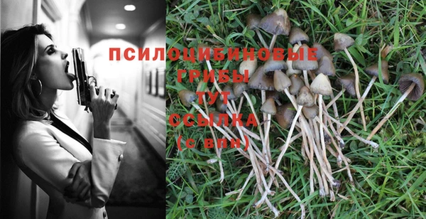 2c-b Надым