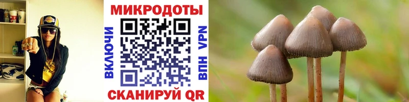 купить  сайты  Королёв  Галлюциногенные грибы ЛСД 